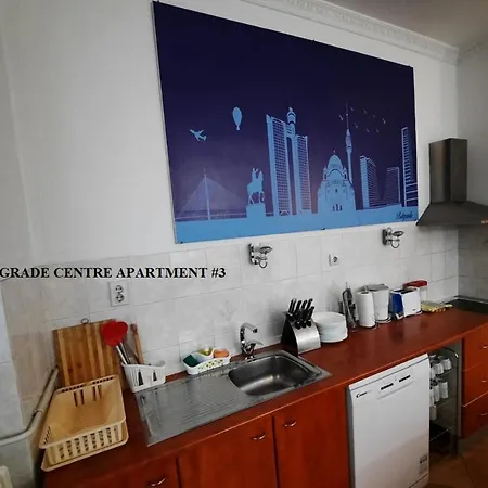 Authentic Centre #5, Four Bedrooms, One Full Bathroom, One Toilet Belgrad