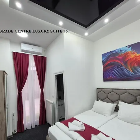 Authentic Centre #5, Four Bedrooms, One Full Bathroom, One Toilet * Belgrad