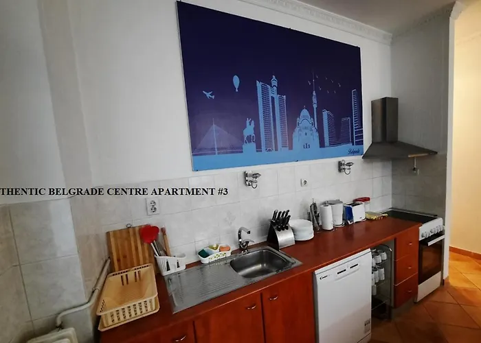 Authentic Centre #5, Four Bedrooms, One Full Bathroom, One Toilet ベオグラード