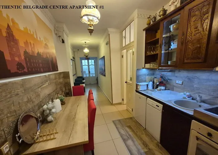 Authentic Centre #5, Four Bedrooms, One Full Bathroom, One Toilet アパート ベオグラード